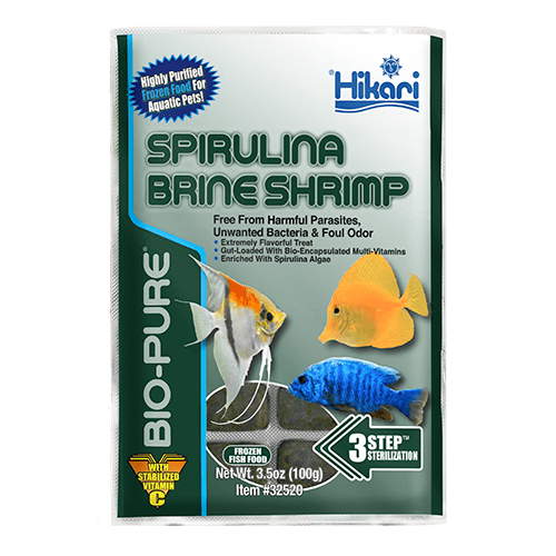 spirulina brine shrimp